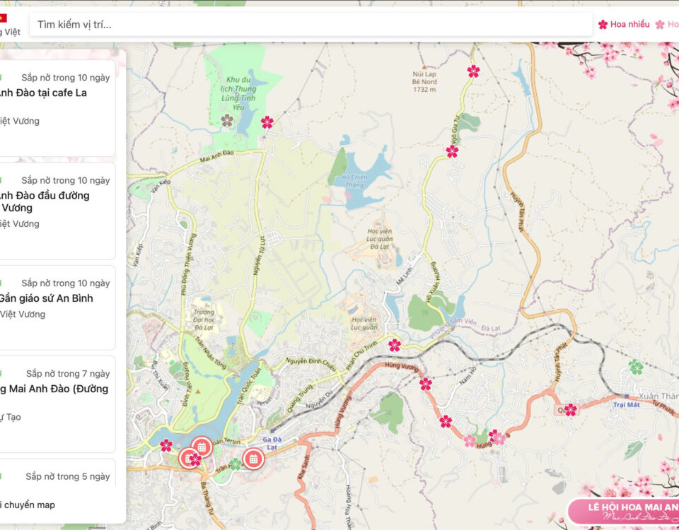 Bản Đồ Mai Anh Đào Đà Lạt 2026 Cập Nhập Theo Thời Gian Thực