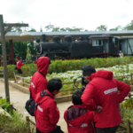 Kinh nghiệm tổ chức sự kiện mùa mưa tại Đà Lạt