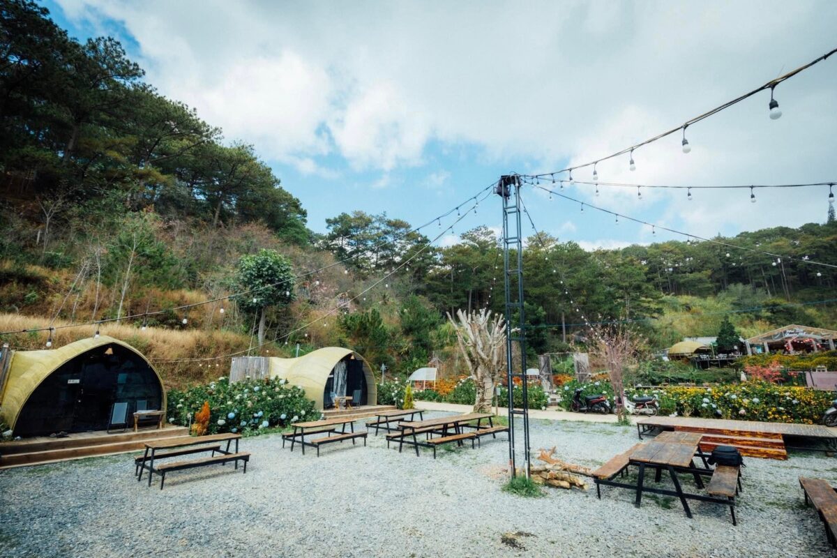 Tổ chức team building tại Forest Scent Glamping Đà Lạt