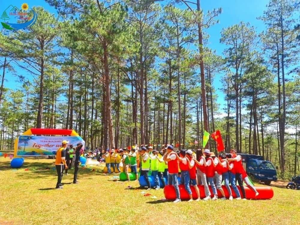 Tổ chức team building tại Đà Lạt